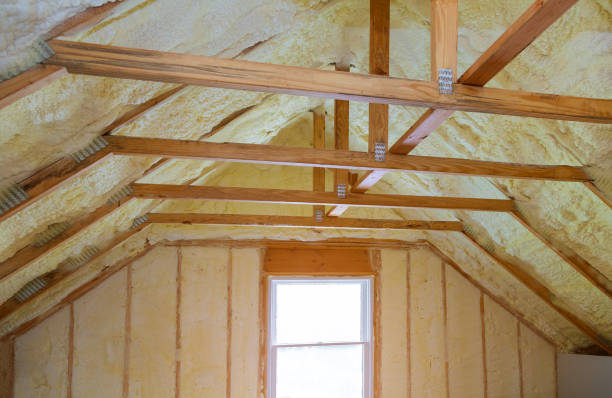 Best Insulation for Specific Applications in Tampa, FL