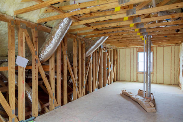 Best Geographic-Specific Insulation Services in Tampa, FL