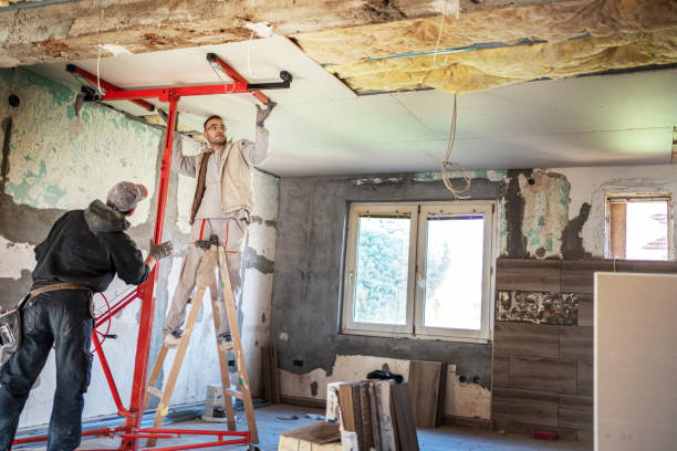 Best Energy Efficiency Insulation in Tampa, FL