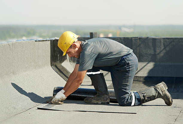 Best Blown-in Insulation in Tampa, FL