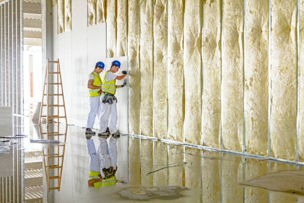 Best Fiberglass Insulation in Tampa, FL